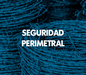 SEGURIDAD PERIMETRAL